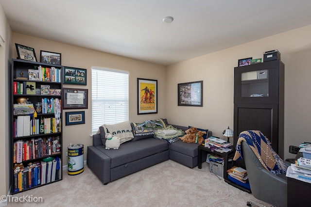 1878 Roseland Ln, Hoffman Estates, IL 60192 - view of carpeted living room