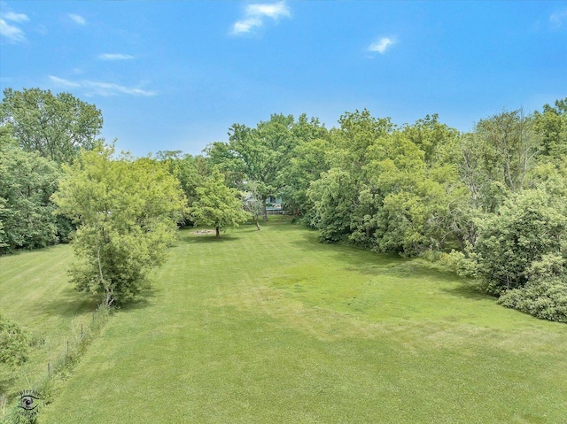 21440 S Hillside Rd, Frankfort, IL 60423 - view of grassy yard