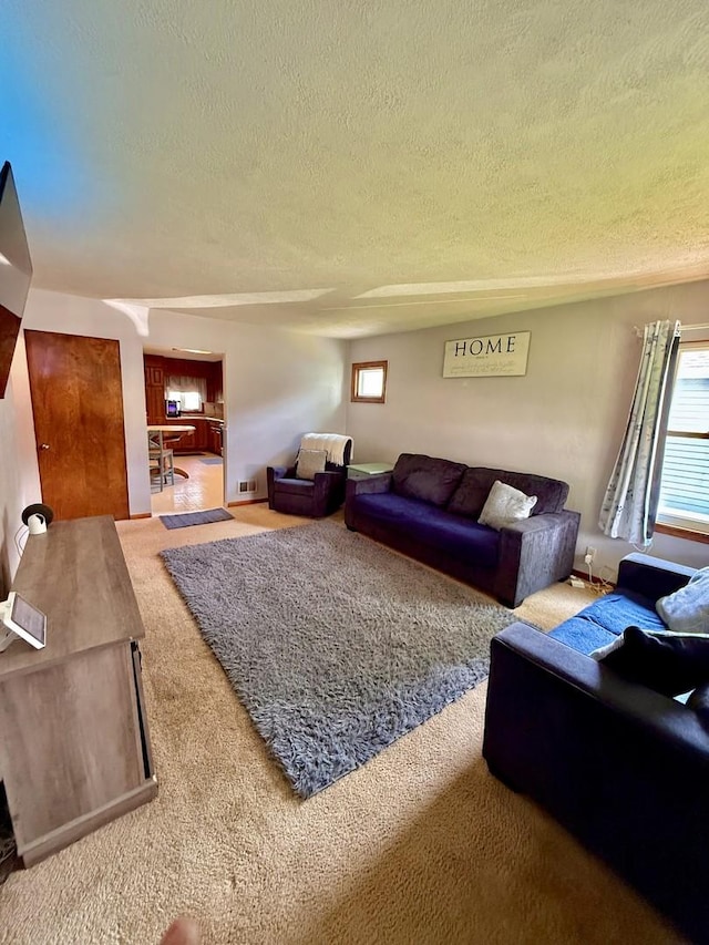 1308 Waverly Pl, Joliet, IL 60435 - living room with a textured ceiling, carpet flooring, and plenty of natural light