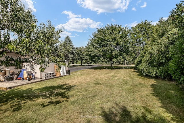 15824 New Ave, Lemont, IL 60439 - photo 4