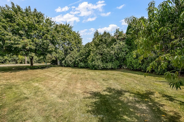 15824 New Ave, Lemont, IL 60439 - photo 5