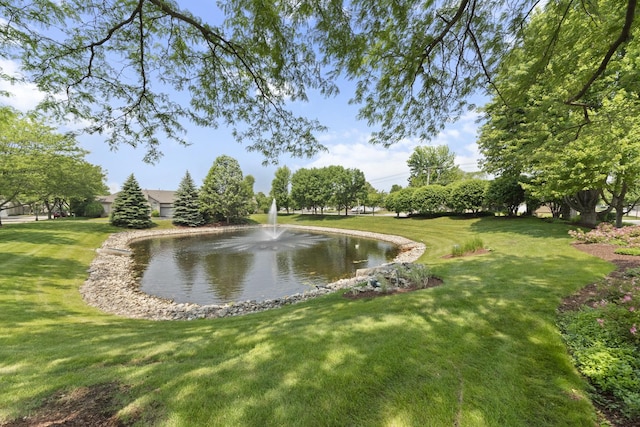 1908 Timbers Edge Cir, Joliet, IL 60431 - water view