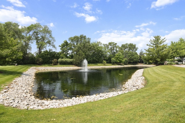 1908 Timbers Edge Cir, Joliet, IL 60431 - water view