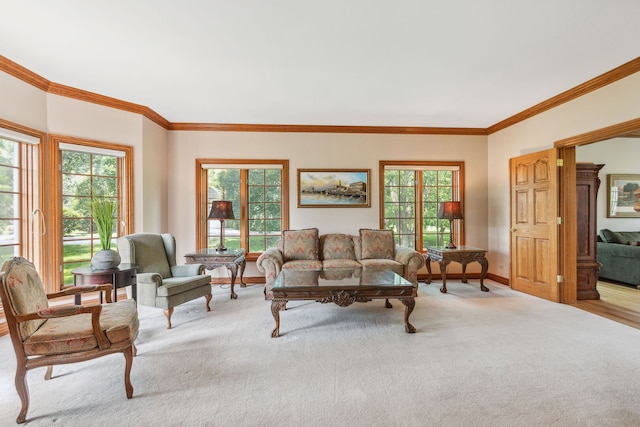 2188 Inverray Rd, Inverness, IL 60067 - living room with healthy amount of natural light, ornamental molding, baseboards, and light carpet