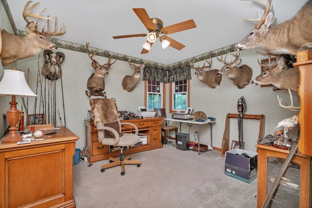 26851 S Westwood Dr, Channahon, IL 60410 - photo 29