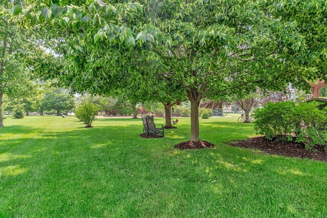26851 S Westwood Dr, Channahon, IL 60410 - photo 60
