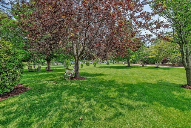 26851 S Westwood Dr, Channahon, IL 60410 - photo 61