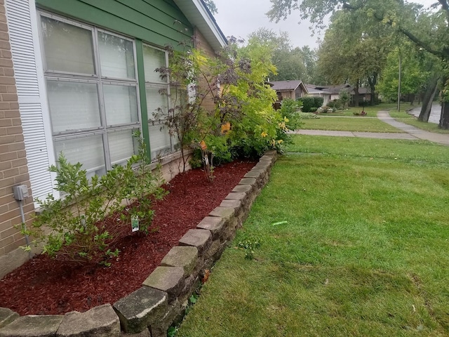 310 New Salem St, Park Forest, IL 60466 - view of grassy yard