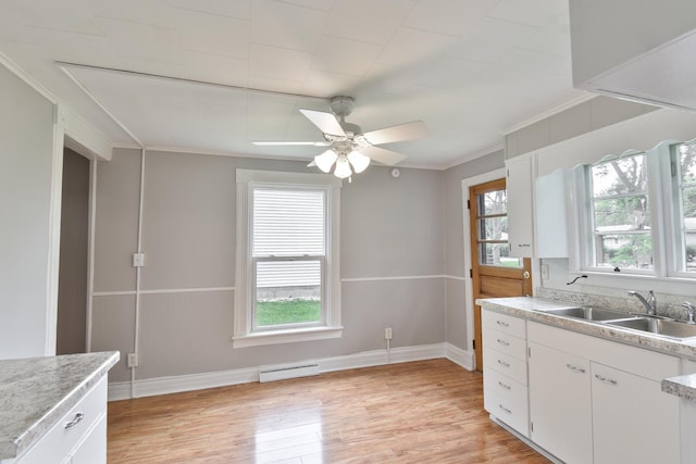 417 E Vermillion St, Odell, IL 60460 - kitchen featuring a sink, plenty of natural light, light wood finished floors, ceiling fan, and ornamental molding