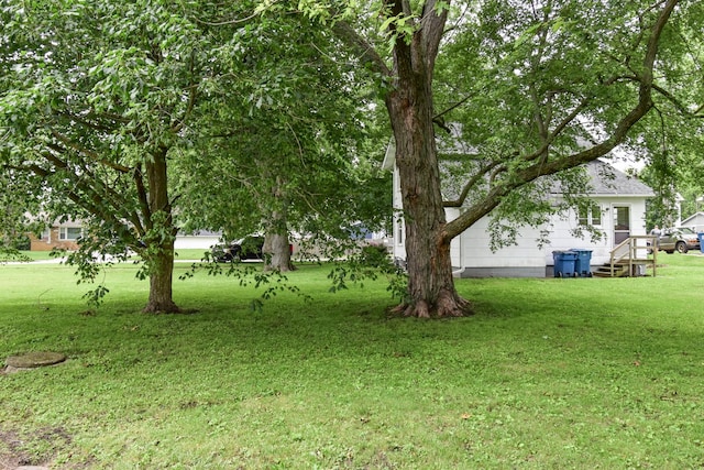 417 E Vermillion St, Odell, IL 60460 - view of grassy yard