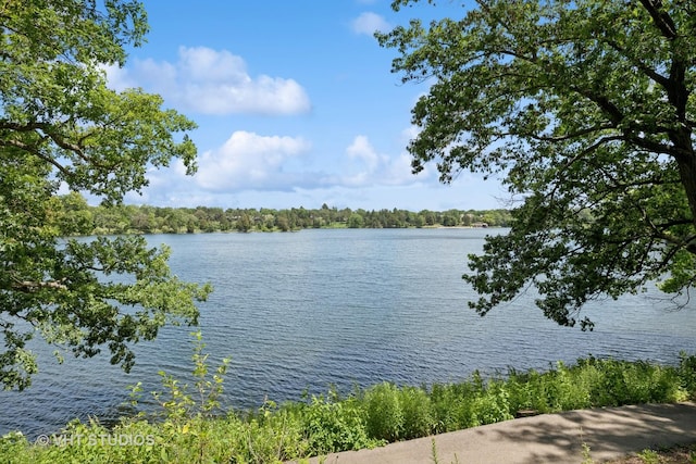 333 N Shoreline Rd Unit 320, Lake Barrington, IL 60010 - photo 30