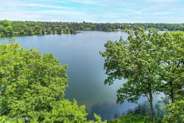 333 N Shoreline Rd Unit 320, Lake Barrington, IL 60010 - photo 41