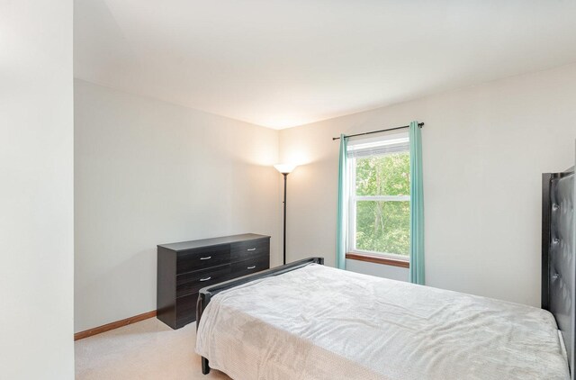 2519 Quail Cv, Carpentersville, IL 60110 - bedroom featuring light carpet and baseboards