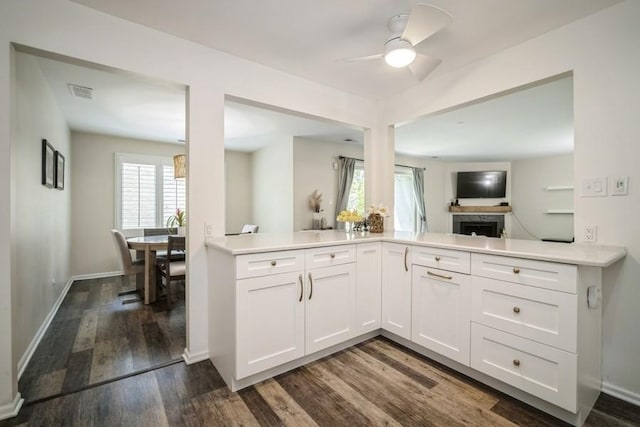 2009 Ammer Ridge Ct Unit 102, Glenview, IL 60025 - kitchen with dark wood-style flooring, healthy amount of natural light, light countertops, and a ceiling fan