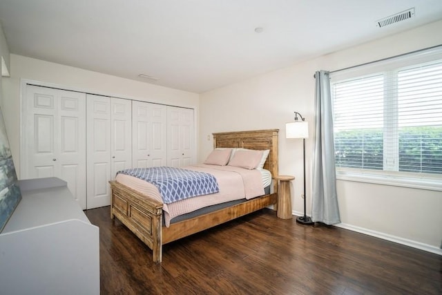 2009 Ammer Ridge Ct Unit 102, Glenview, IL 60025 - bedroom with wood finished floors and a closet