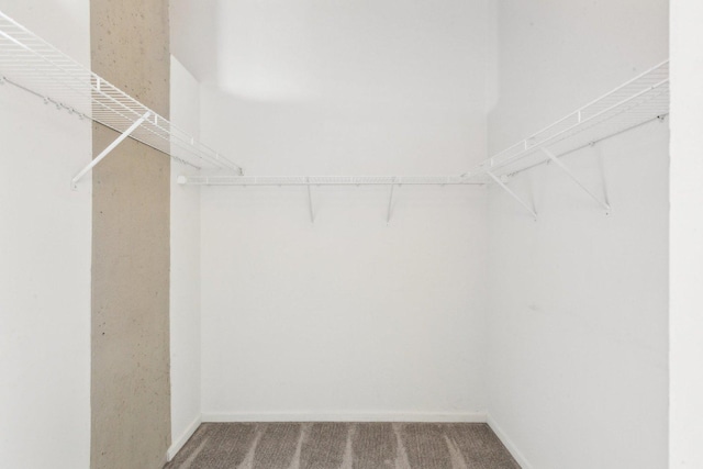 1645 W Ogden Ave Unit 516, Chicago, IL 60612 - walk in closet with carpet