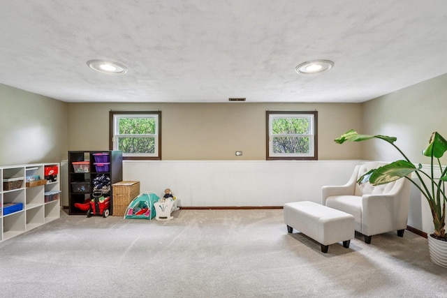N074 Nepil Ave, Wheaton, IL 60187 - sitting room with carpet flooring