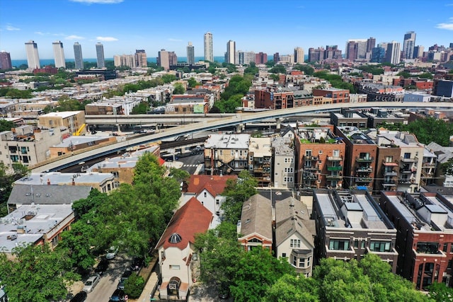 3353 N Kenmore Ave Unit 1, Chicago, IL 60657 - drone / aerial view of skyline