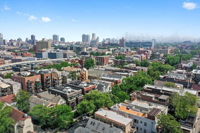 3353 N Kenmore Ave Unit 1, Chicago, IL 60657 - skyline view