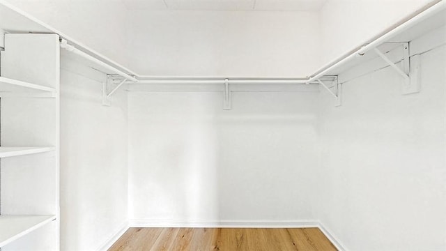 12900 W Heiden Cir Unit 4301, Lake Bluff, IL 60044 - spacious closet featuring wood finished floors