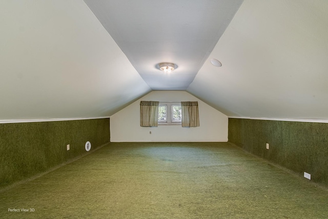 371 Elm St, Elgin, IL 60123 - additional living space featuring carpet floors, lofted ceiling, and wallpapered walls