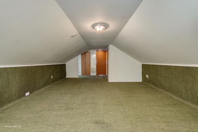 371 Elm St, Elgin, IL 60123 - additional living space with carpet floors and vaulted ceiling