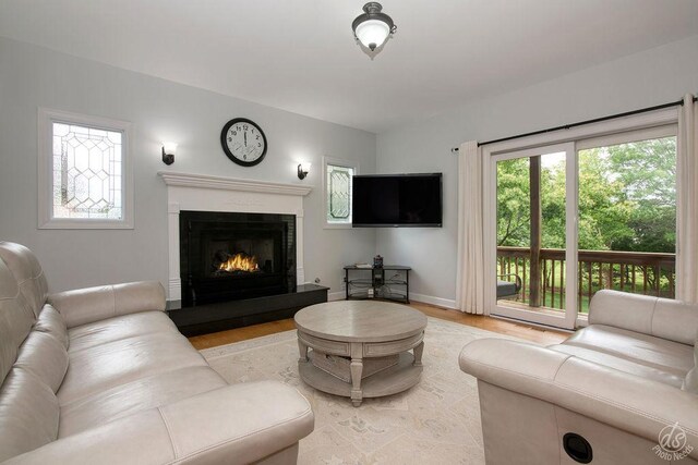 141 Mary Hamsmith Ct, Sycamore, IL 60178 - living room with light wood-style flooring, baseboards, and a lit fireplace