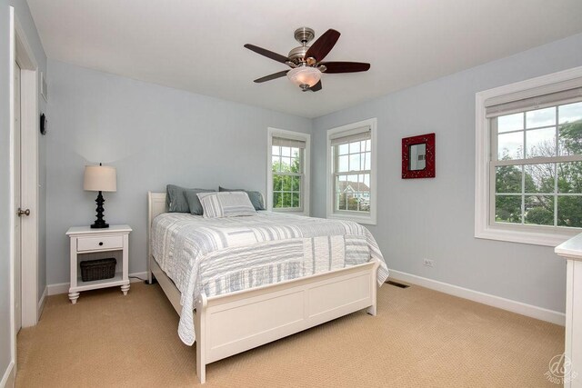 141 Mary Hamsmith Ct, Sycamore, IL 60178 - bedroom featuring light colored carpet, baseboards, and multiple windows