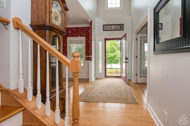 141 Mary Hamsmith Ct, Sycamore, IL 60178 - foyer entrance with wallpapered walls, healthy amount of natural light, light wood-style flooring, baseboards, and a towering ceiling