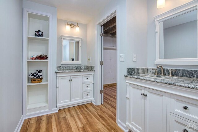 141 Mary Hamsmith Ct, Sycamore, IL 60178 - full bath with wood finished floors, vanity, a walk in closet, and baseboards