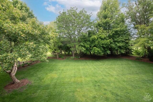 141 Mary Hamsmith Ct, Sycamore, IL 60178 - view of green lawn