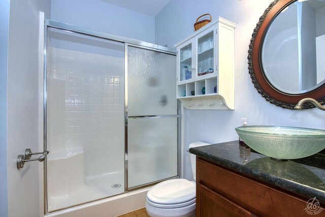 141 Mary Hamsmith Ct, Sycamore, IL 60178 - full bath with a shower stall, vanity, and toilet