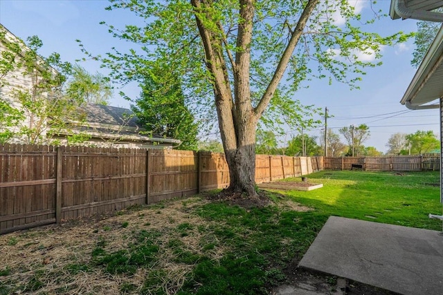800 E Webster St, Clinton, IL 61727 - view of yard