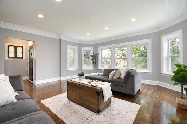 1234 Edmer Ave, Oak Park, IL 60302 - living room with plenty of natural light, recessed lighting, dark wood-type flooring, and ornamental molding