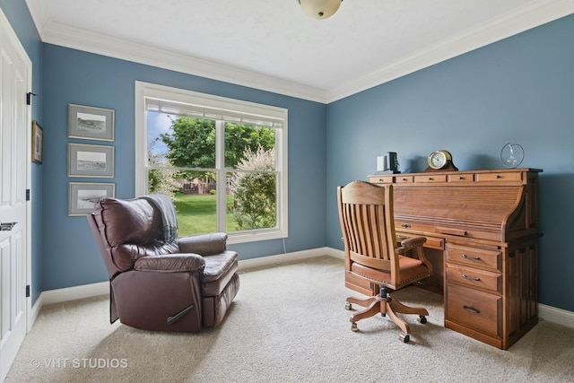 76 Landon Cir, Wheaton, IL 60189 - carpeted office featuring ornamental molding and baseboards