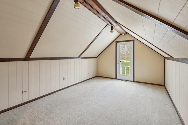 21956 N Hickory Hill Dr, Kildeer, IL 60047 - bonus room featuring carpet flooring, wood walls, and baseboards