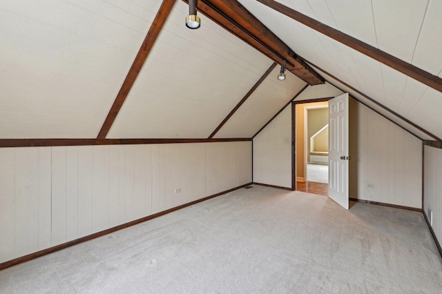 21956 N Hickory Hill Dr, Kildeer, IL 60047 - additional living space featuring carpet floors and wood walls
