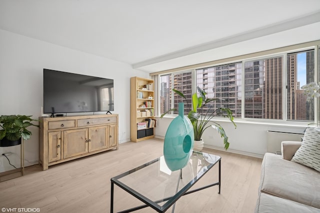 211 E Ohio St Unit 2819, Chicago, IL 60611 - living room featuring plenty of natural light, light wood finished floors, and baseboards