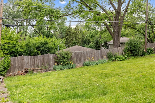 493 W Avery St, Elmhurst, IL 60126 - view of yard