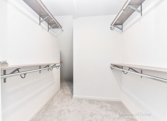 631 S Whispering Hills Dr, Naperville, IL 60540 - walk in closet featuring light carpet