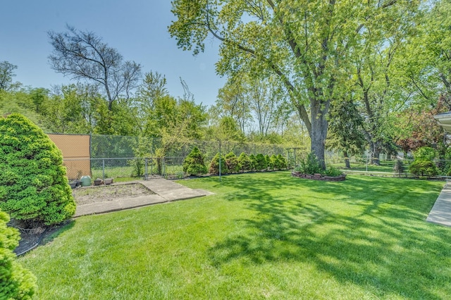 1825 W Sherry Ln, Addison, IL 60101 - view of yard