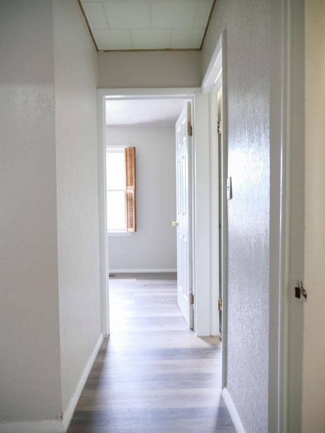 510 W Harrison St, Villa Grove, IL 61956 - corridor featuring wood finished floors and baseboards
