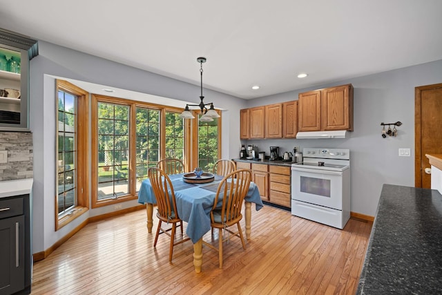 28 Lions Rd, Sandwich, IL 60548 - kitchen with white electric stove, under cabinet range hood, light wood finished floors, recessed lighting, and tasteful backsplash