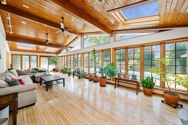 28 Lions Rd, Sandwich, IL 60548 - sunroom with a skylight