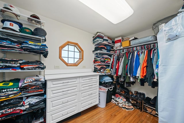 28 Lions Rd, Sandwich, IL 60548 - spacious closet with wood finished floors