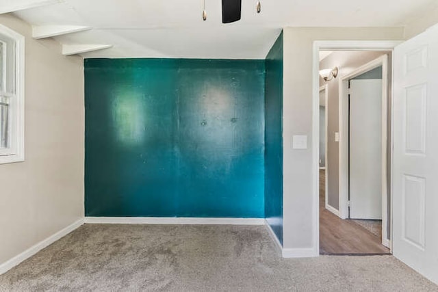 1003 S Pleasantview Dr, Tuscola, IL 61953 - carpeted empty room featuring baseboards