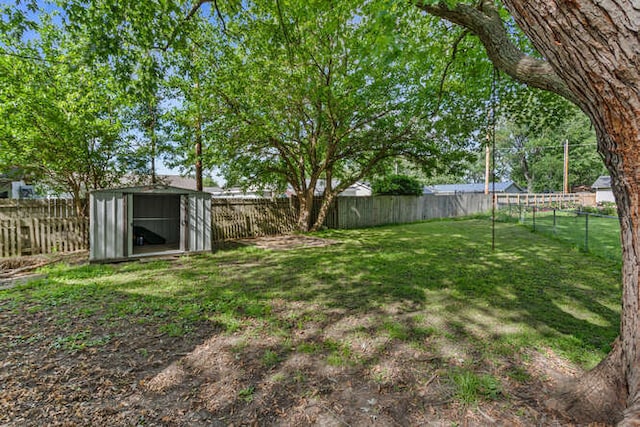 1003 S Pleasantview Dr, Tuscola, IL 61953 - view of yard
