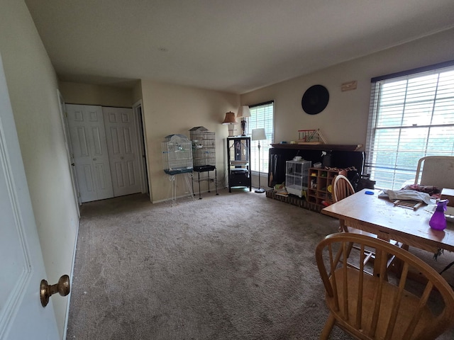 355 Crestwood Ct, Algonquin, IL 60102 - view of carpeted home office