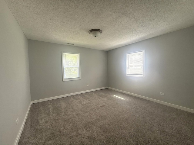 557 W Water St, Waukegan, IL 60085 - unfurnished room featuring healthy amount of natural light, carpet floors, and a textured ceiling
