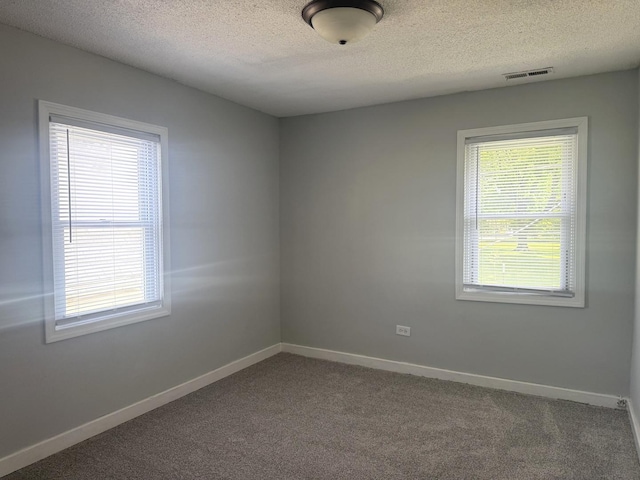 557 W Water St, Waukegan, IL 60085 - carpeted empty room with a textured ceiling and healthy amount of natural light